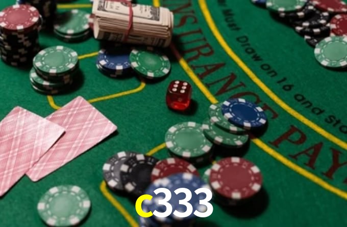 Premium Interface c333